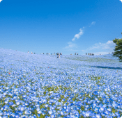 茨城県私学協会